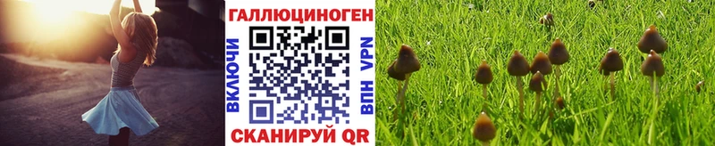 Псилоцибиновые грибы мухоморы  Купить  Никольское 