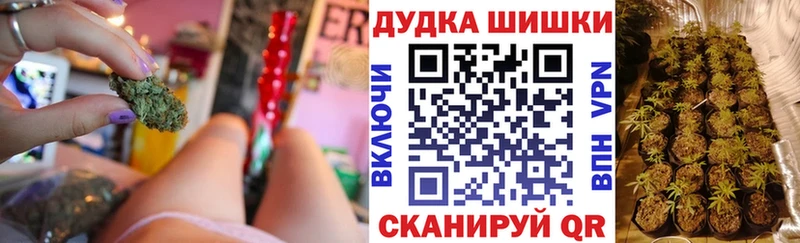 Купить закладки  Никольское  Бошки Шишки Amnesia 